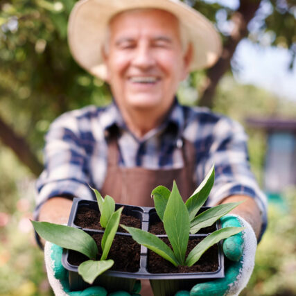 Maplewood community front exterior